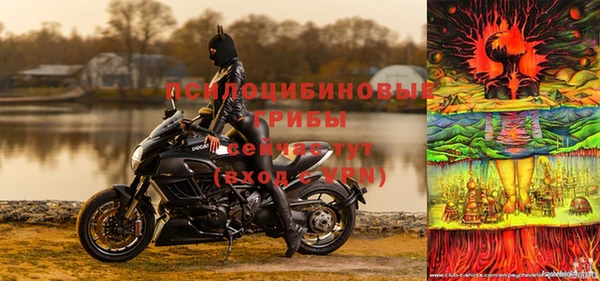 ПСИЛОЦИБИНОВЫЕ ГРИБЫ Арсеньев