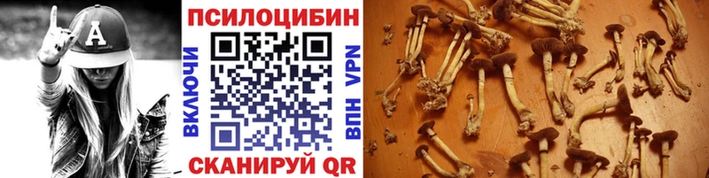 Псилоцибиновые грибы мицелий Байкальск