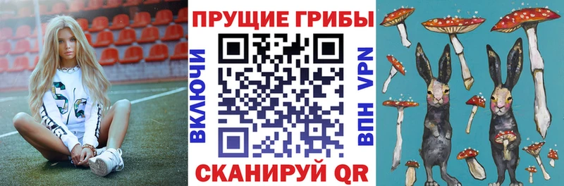Псилоцибиновые грибы мухоморы Байкальск